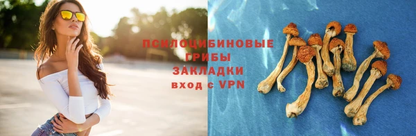 ALPHA PVP Заводоуковск