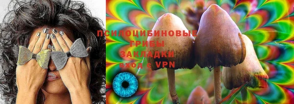 дурь Заволжье