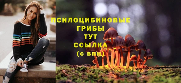 MDMA Premium VHQ Заволжск