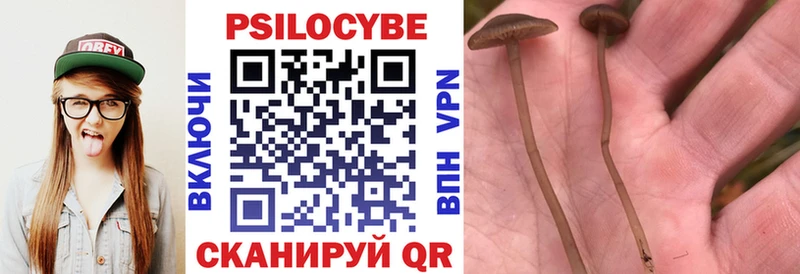 Галлюциногенные грибы GOLDEN TEACHER  купить закладку  Сасово 